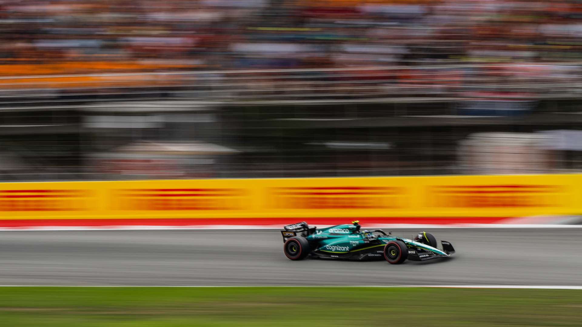 奉献了一场 奉献了一场