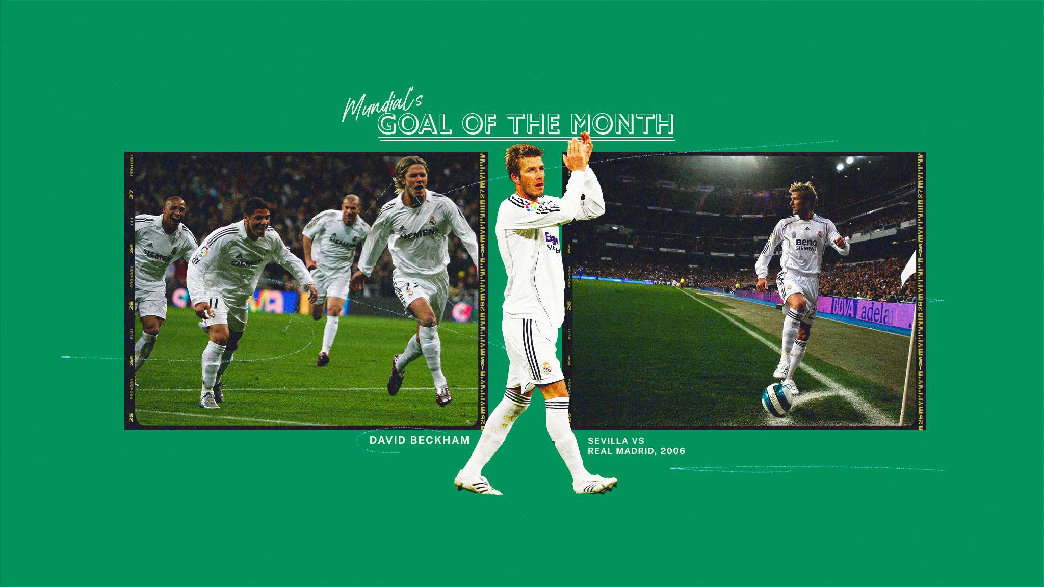 的感激之情 的感激之情